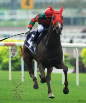 Joao Moreira sends Super Ninetyseven away to take out the Group 3 Committee's Prize<br>Photo by Singapore Turf Club